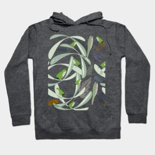 Parrots in jungle Hoodie